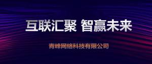 “互聯(lián)聚匯，智贏未來” 2019焦作青峰全網(wǎng)合作峰會(huì)***成功！